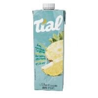 NECTAR TIAL ABACAXI 12X1000ML