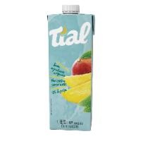 NECTAR TIAL MANGA 12X1000ML